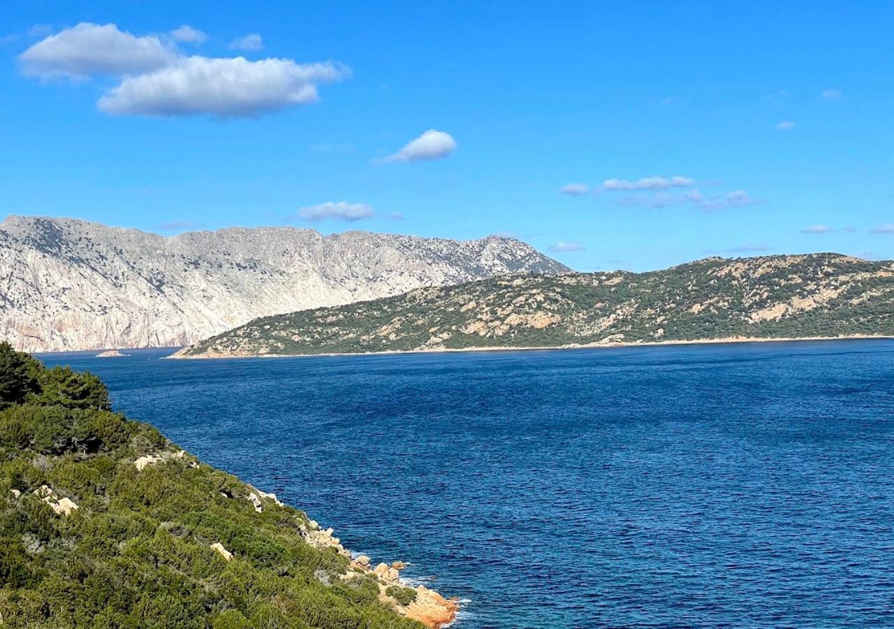 Apartament San Teodoro Punta Est Delizioso Monolocale Vista Mare Zewnętrze zdjęcie