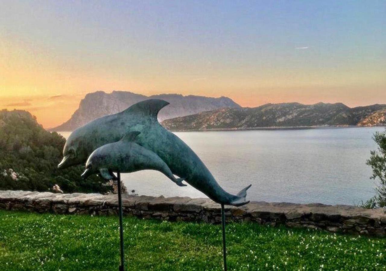 Apartament San Teodoro Punta Est Delizioso Monolocale Vista Mare Zewnętrze zdjęcie