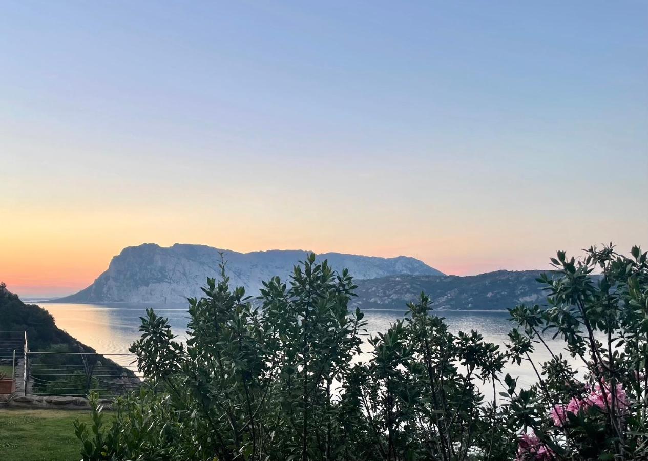 Apartament San Teodoro Punta Est Delizioso Monolocale Vista Mare Zewnętrze zdjęcie