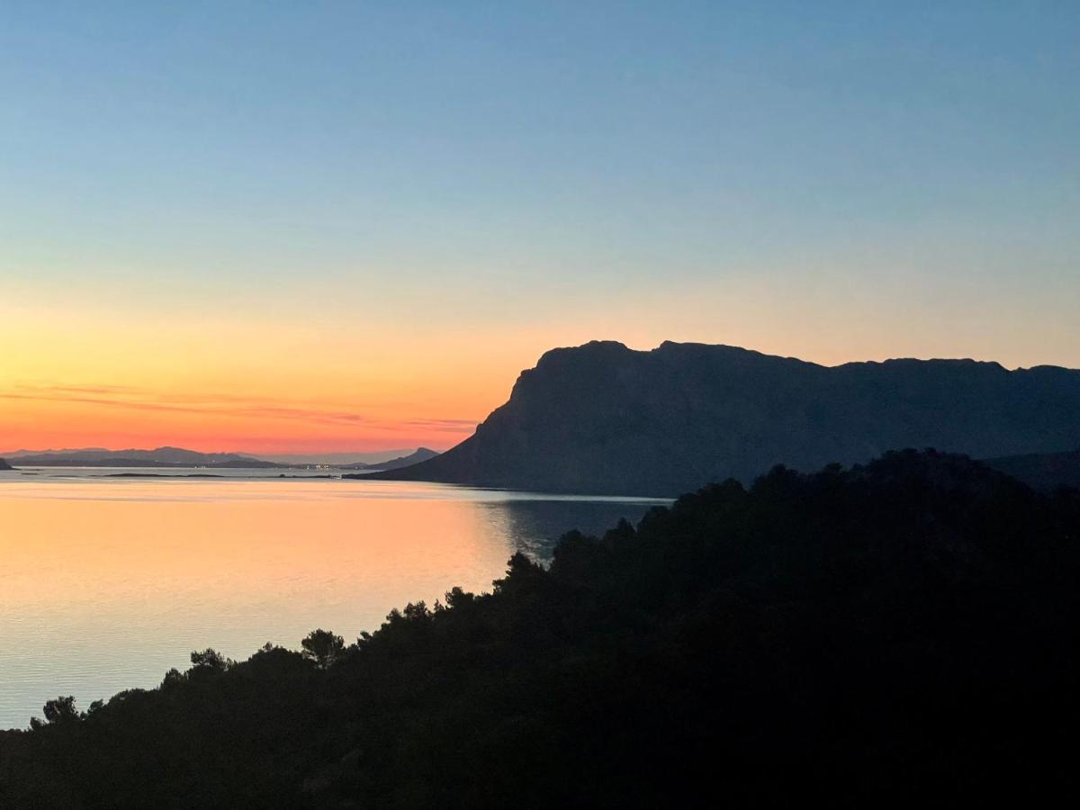 Apartament San Teodoro Punta Est Delizioso Monolocale Vista Mare Zewnętrze zdjęcie
