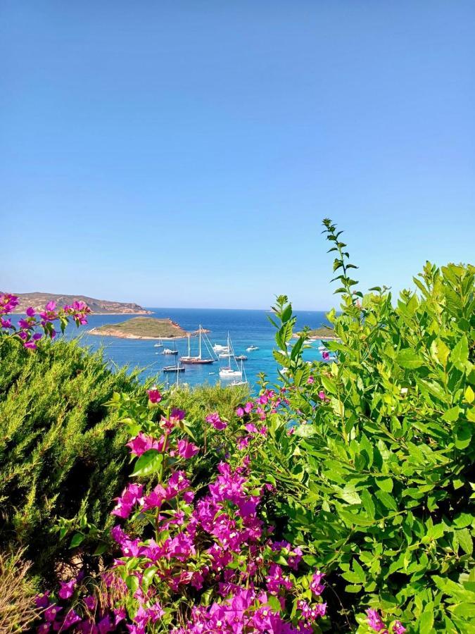 Apartament San Teodoro Punta Est Delizioso Monolocale Vista Mare Zewnętrze zdjęcie